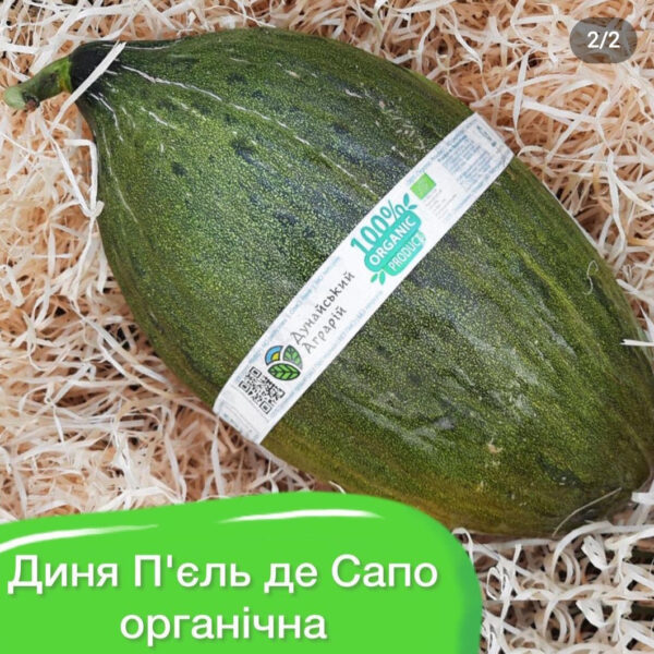 Диня П’єль де Сапо органічна, вага 2 кг (70 грн за кг)
